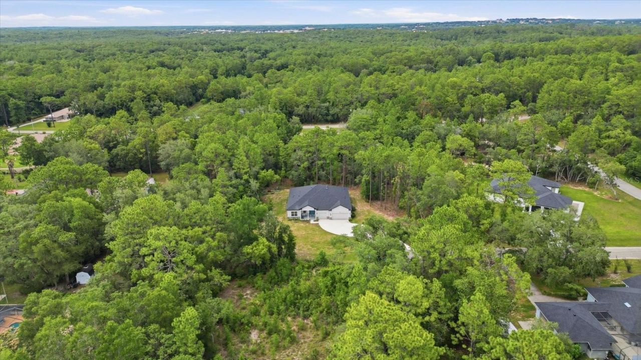 1427 W Mineral Court , Hernando, FL 34442 Photo