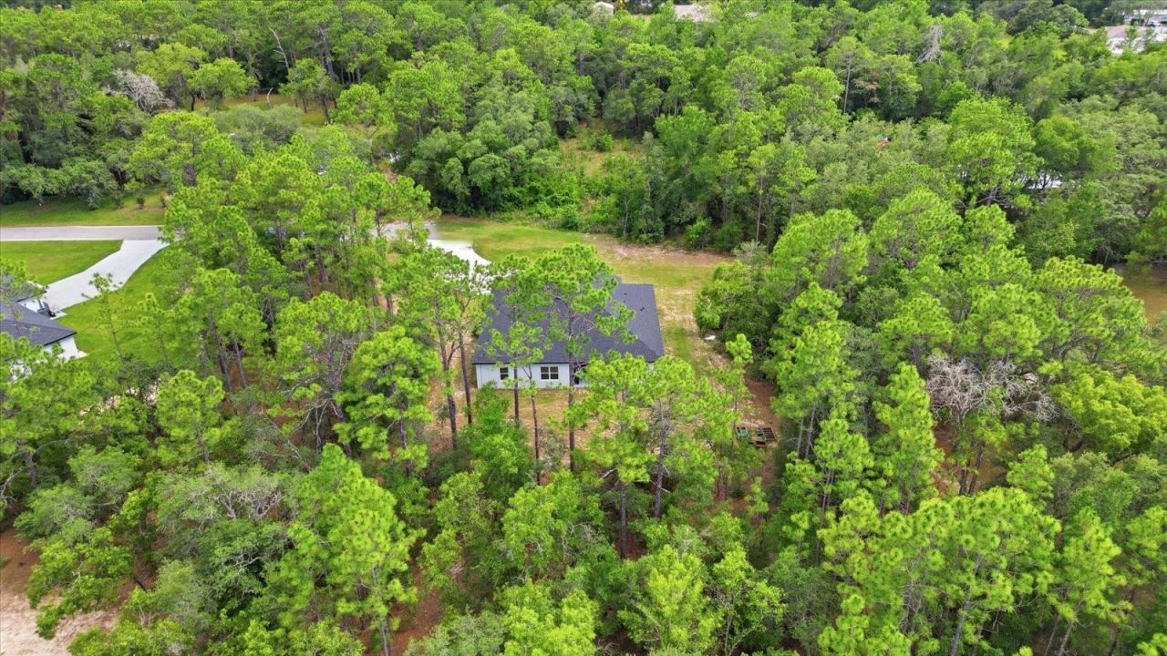 1427 W Mineral Court , Hernando, FL 34442 Photo