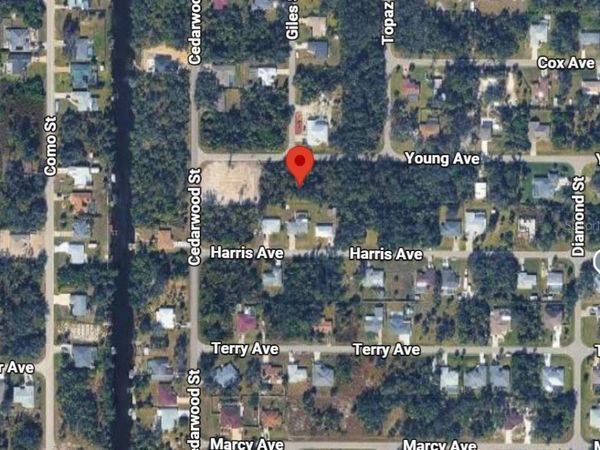 17319 YOUNG AVENUE , PORT CHARLOTTE, FL 33948