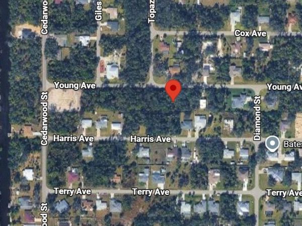 17359 YOUNG AVENUE , PORT CHARLOTTE, FL 33948