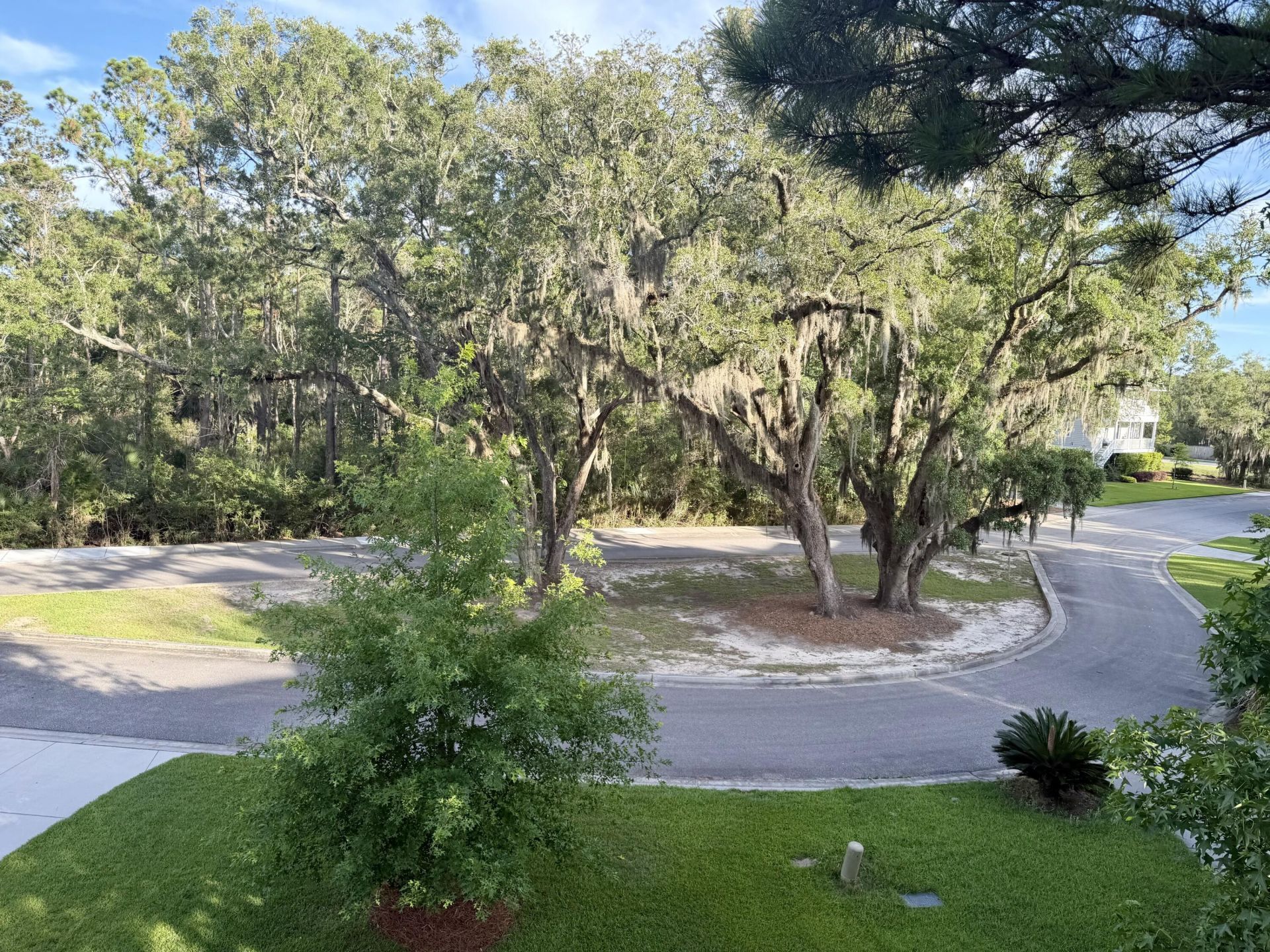 3644 Purple Martin Court Photo 24