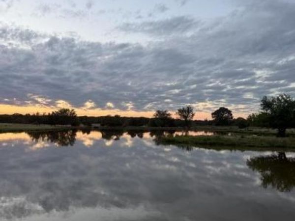 1963 County Road 44750 , Blossom, TX 75416