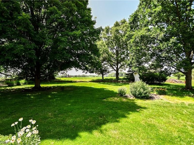 11937 Basswood Avenue NW, Uniontown, OH 44685 Photo 37
