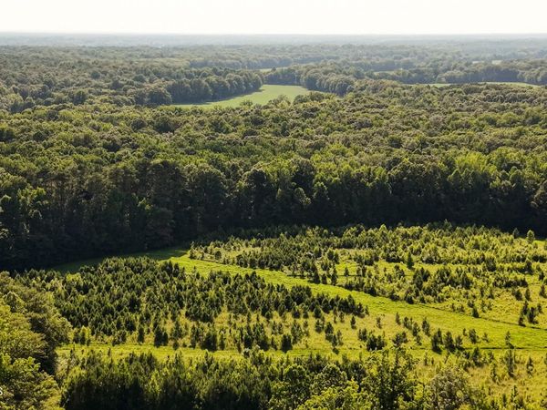 Deer Hill Road, Nettleton, MS 38858