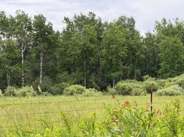 TBD Highway 65 , Nashwauk, MN 55769
