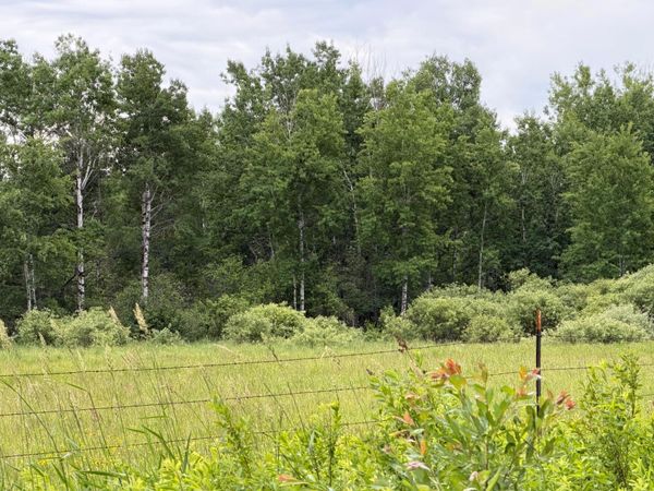 TBD Highway 65 , Nashwauk, MN 55769