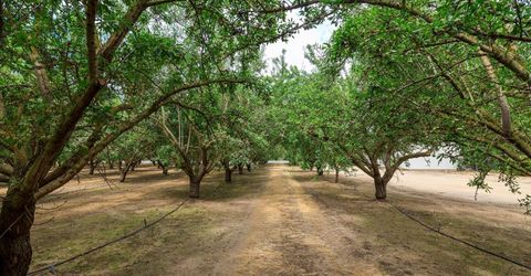22342 Henry Rd, Escalon, CA 95320 Photo