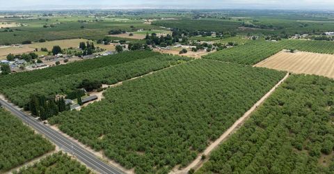 22342 Henry Rd, Escalon, CA 95320 Photo