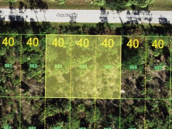 26215 ANGELICA ROAD , PUNTA GORDA, FL 33955