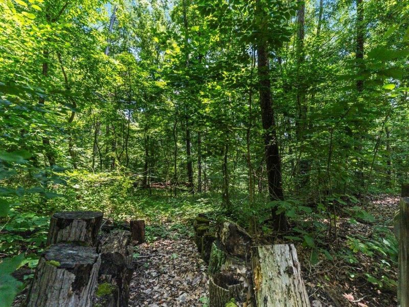 18862 Indigo Lane, Rockbridge, OH 43149 Photo 16