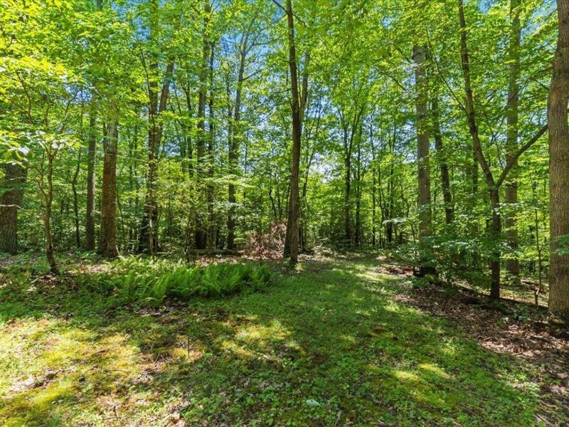 18862 Indigo Lane, Rockbridge, OH 43149 Photo 17