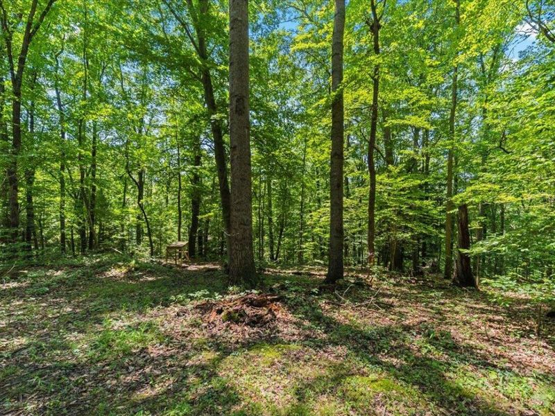18862 Indigo Lane, Rockbridge, OH 43149 Photo 18