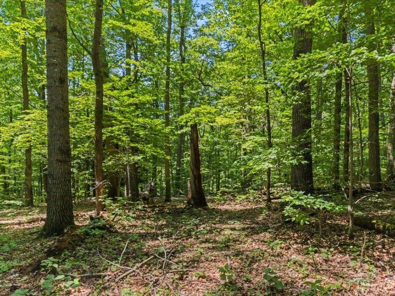 18862 Indigo Lane, Rockbridge, OH 43149 Photo 19