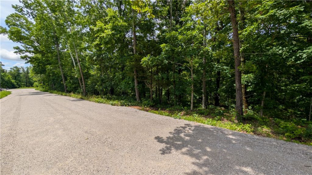 Lot 41 Hornsea Lane, Bella Vista, AR 72714 Main Photo