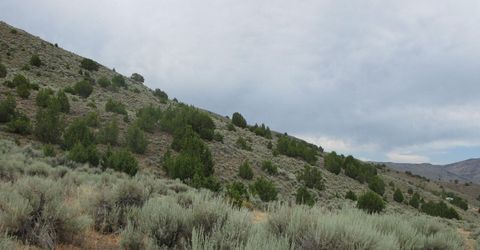 705 Pah Rah Springs Road, Reno, NV 89510 Photo