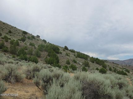 705 Pah Rah Springs Road, Reno, NV 89510 Photo