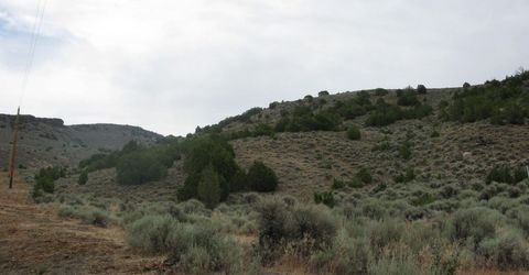 705 Pah Rah Springs Road, Reno, NV 89510 Photo