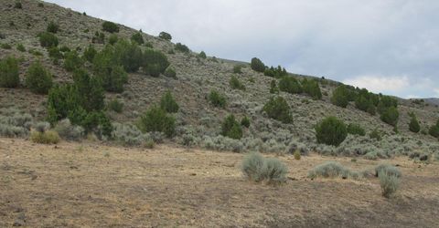 705 Pah Rah Springs Road, Reno, NV 89510 Photo