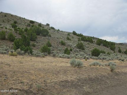 705 Pah Rah Springs Road, Reno, NV 89510 Photo