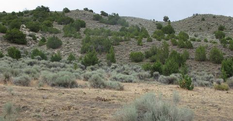 705 Pah Rah Springs Road, Reno, NV 89510 Photo