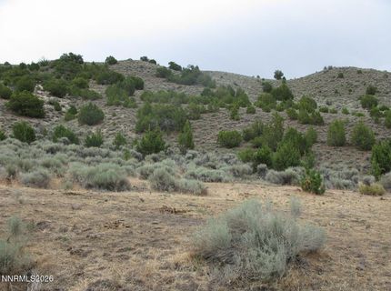 705 Pah Rah Springs Road, Reno, NV 89510 Photo