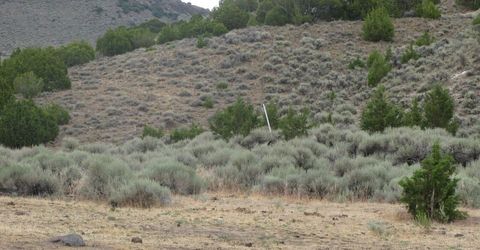 705 Pah Rah Springs Road, Reno, NV 89510 Photo