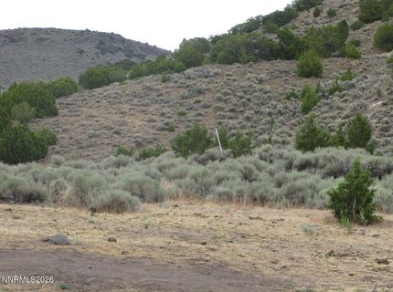 705 Pah Rah Springs Road, Reno, NV 89510 Photo