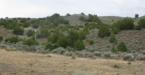 705 Pah Rah Springs Road, Reno, NV 89510 Photo