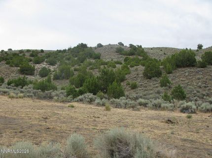 705 Pah Rah Springs Road, Reno, NV 89510 Photo