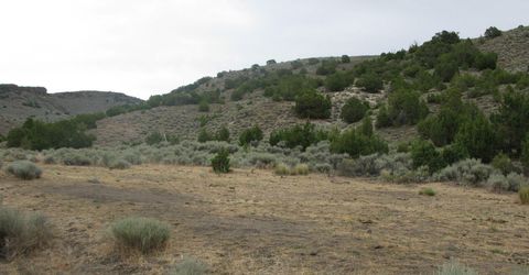 705 Pah Rah Springs Road, Reno, NV 89510 Photo