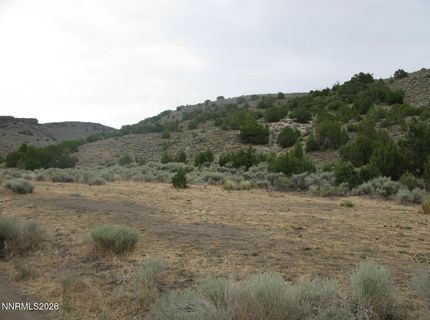 705 Pah Rah Springs Road, Reno, NV 89510 Photo