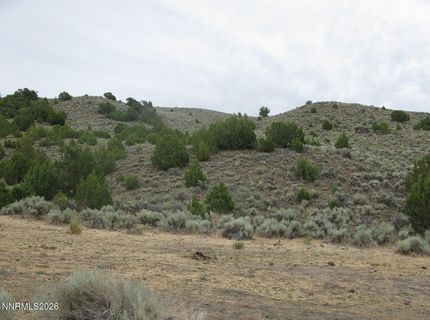 705 Pah Rah Springs Road, Reno, NV 89510 Photo