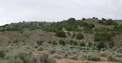 705 Pah Rah Springs Road, Reno, NV 89510 Photo