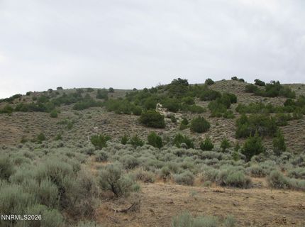 705 Pah Rah Springs Road, Reno, NV 89510 Photo