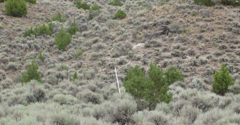 705 Pah Rah Springs Road, Reno, NV 89510 Photo