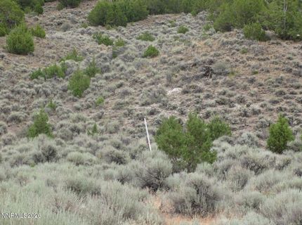705 Pah Rah Springs Road, Reno, NV 89510 Photo
