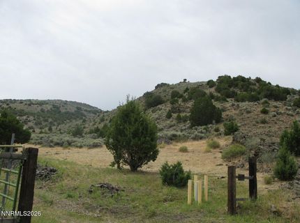 705 Pah Rah Springs Road, Reno, NV 89510 Photo
