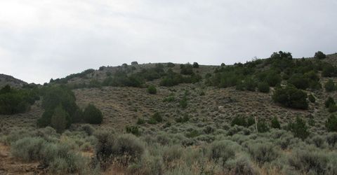 705 Pah Rah Springs Road, Reno, NV 89510 Photo
