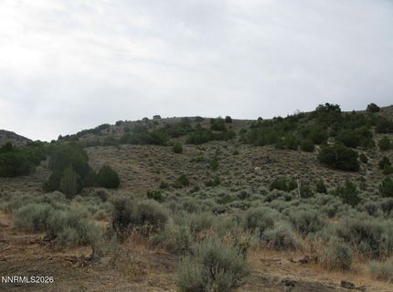 705 Pah Rah Springs Road, Reno, NV 89510 Photo
