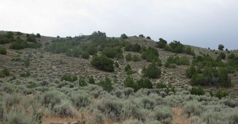705 Pah Rah Springs Road, Reno, NV 89510 Photo