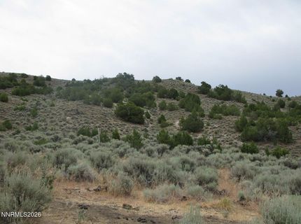 705 Pah Rah Springs Road, Reno, NV 89510 Photo