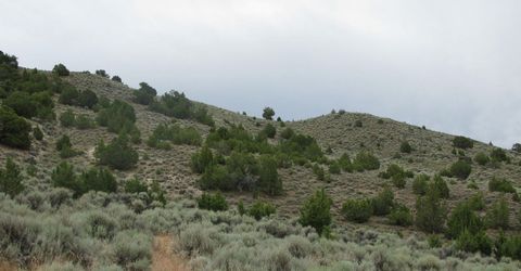 705 Pah Rah Springs Road, Reno, NV 89510 Photo