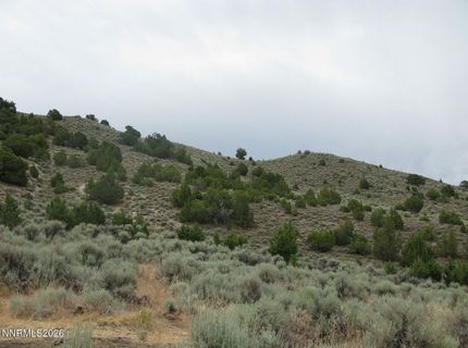 705 Pah Rah Springs Road, Reno, NV 89510 Photo