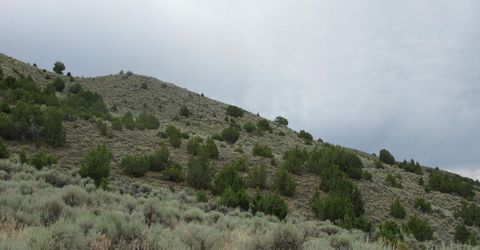 705 Pah Rah Springs Road, Reno, NV 89510 Photo