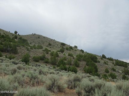 705 Pah Rah Springs Road, Reno, NV 89510 Photo