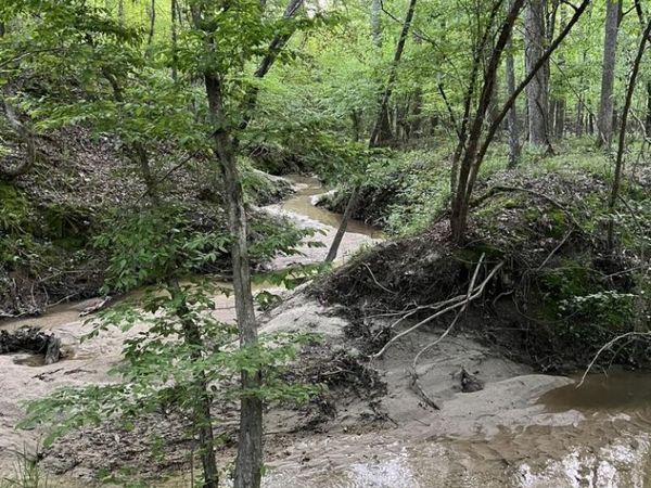 00 Ashley Road, Brandon, MS 39042