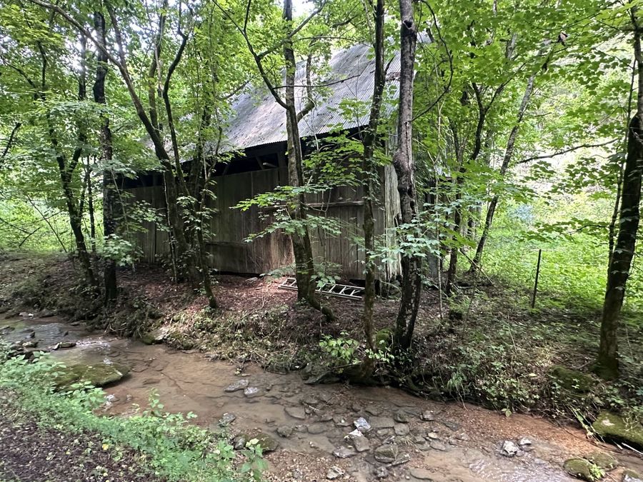 Property Image 8