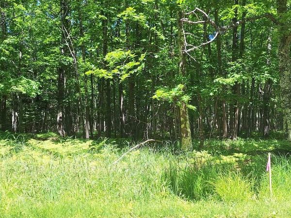 xxx South Shore Rd, La Pointe, WI 54850