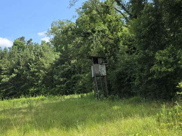 2046 Barto Leggett Road, McComb, MS 39648