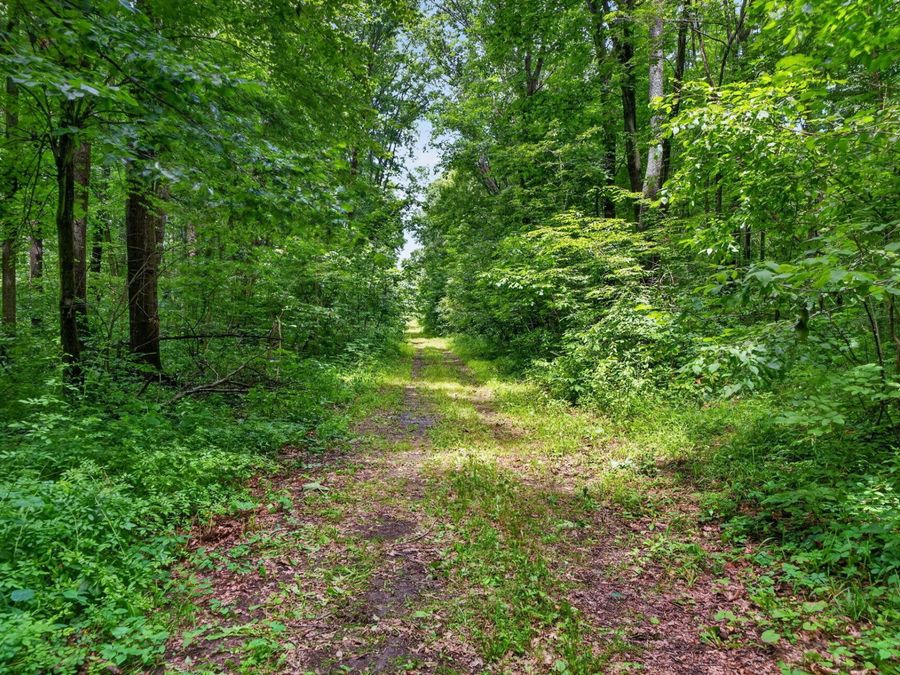 Property Image 61